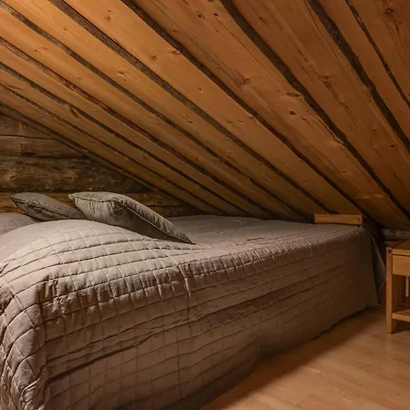 Kuusirinne 2a - A Log Near The Slopes Of Apartman