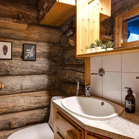 Apartman Kuusirinne 2a - A Log Near The Slopes Of